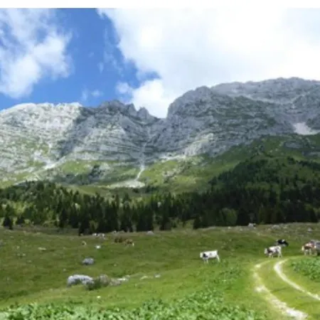 Casa Joy Διαμέρισμα *