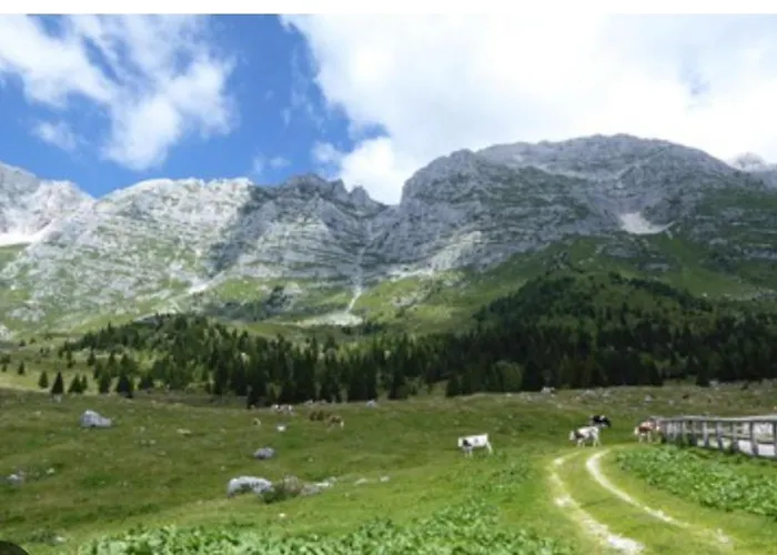 Casa Joy Apartamento *